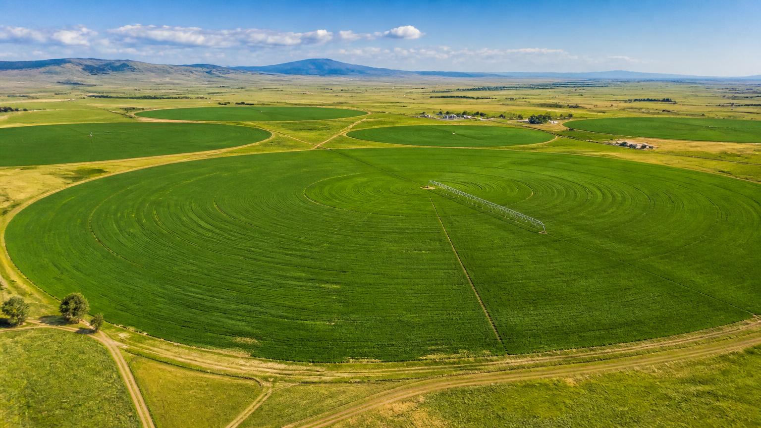 Agriculture & Environmental